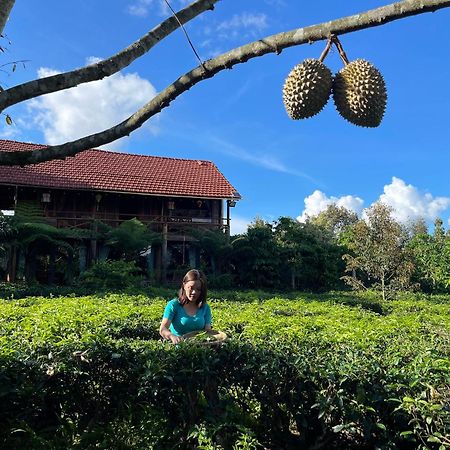保禄Tea Garden House别墅 外观 照片
