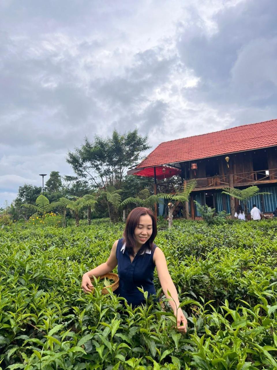 保禄Tea Garden House别墅 外观 照片