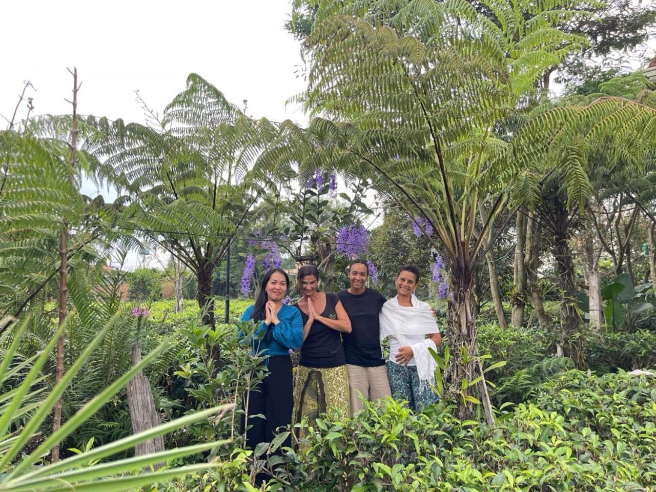 保禄Tea Garden House别墅 外观 照片
