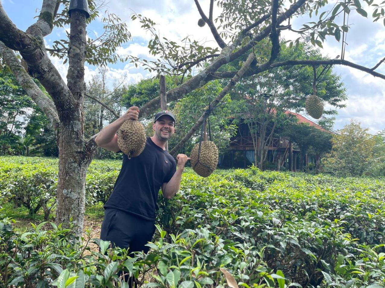 保禄Tea Garden House别墅 外观 照片