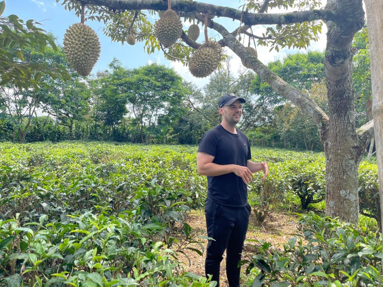 保禄Tea Garden House别墅 外观 照片