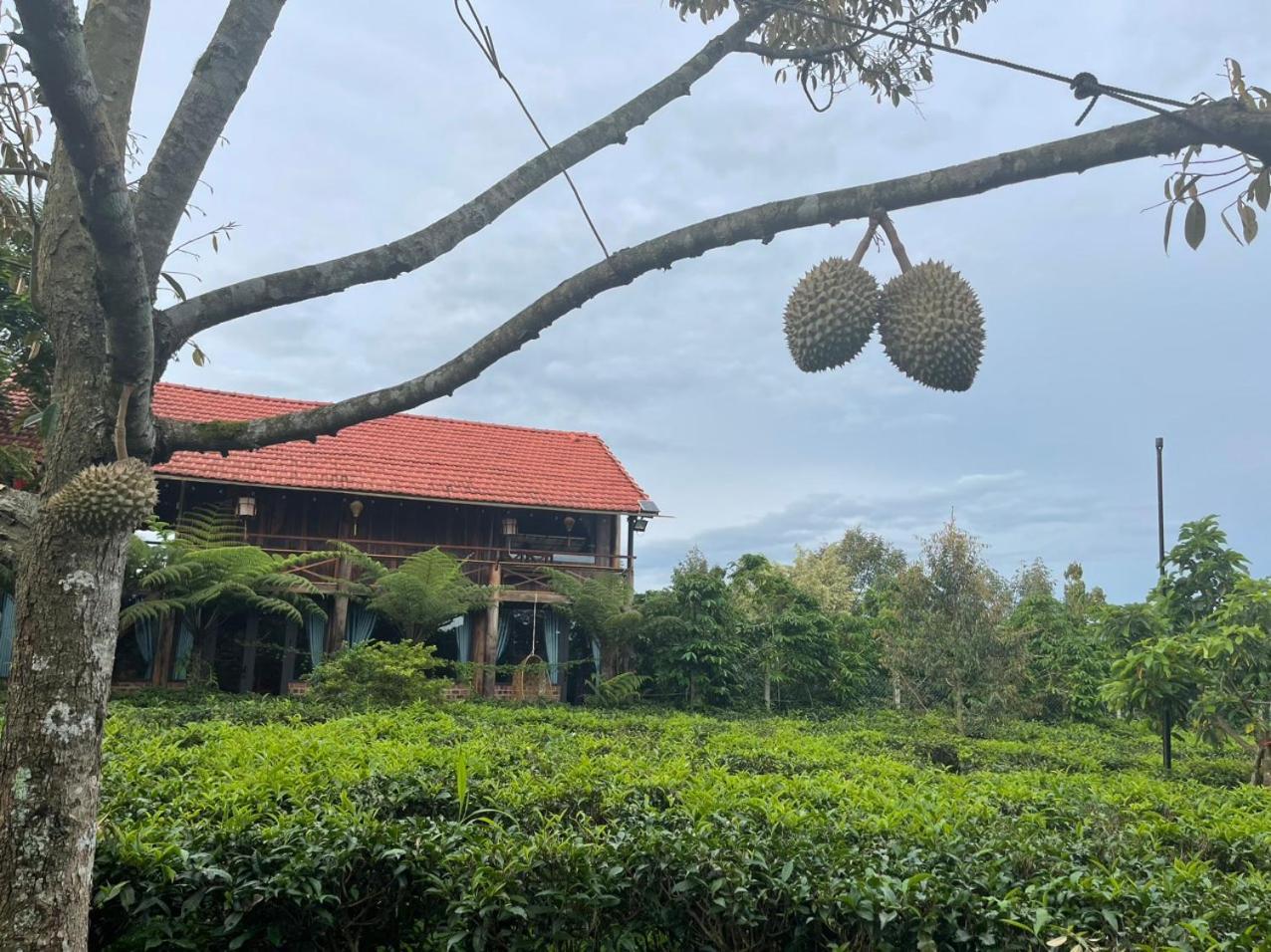 保禄Tea Garden House别墅 外观 照片