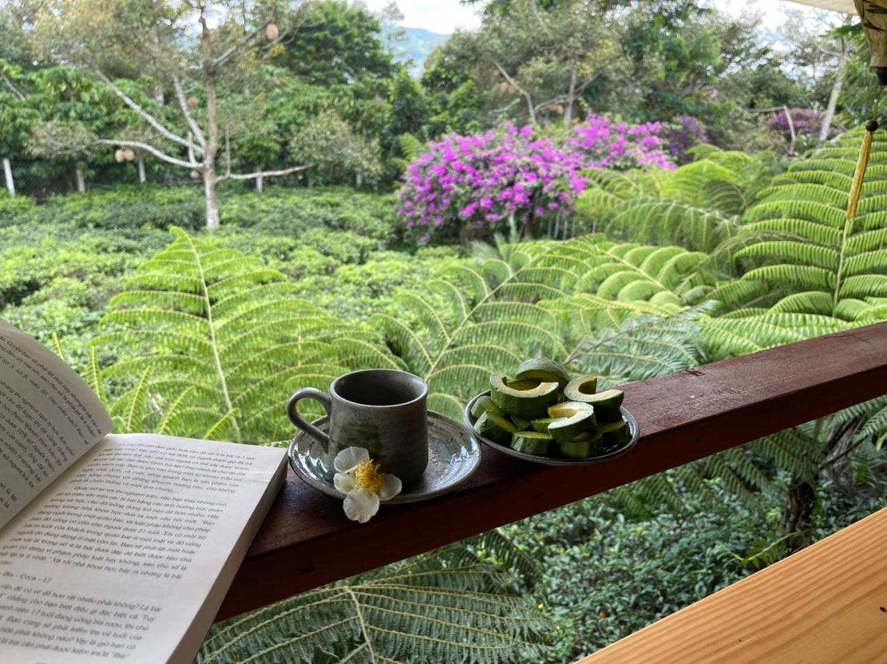 保禄Tea Garden House别墅 外观 照片