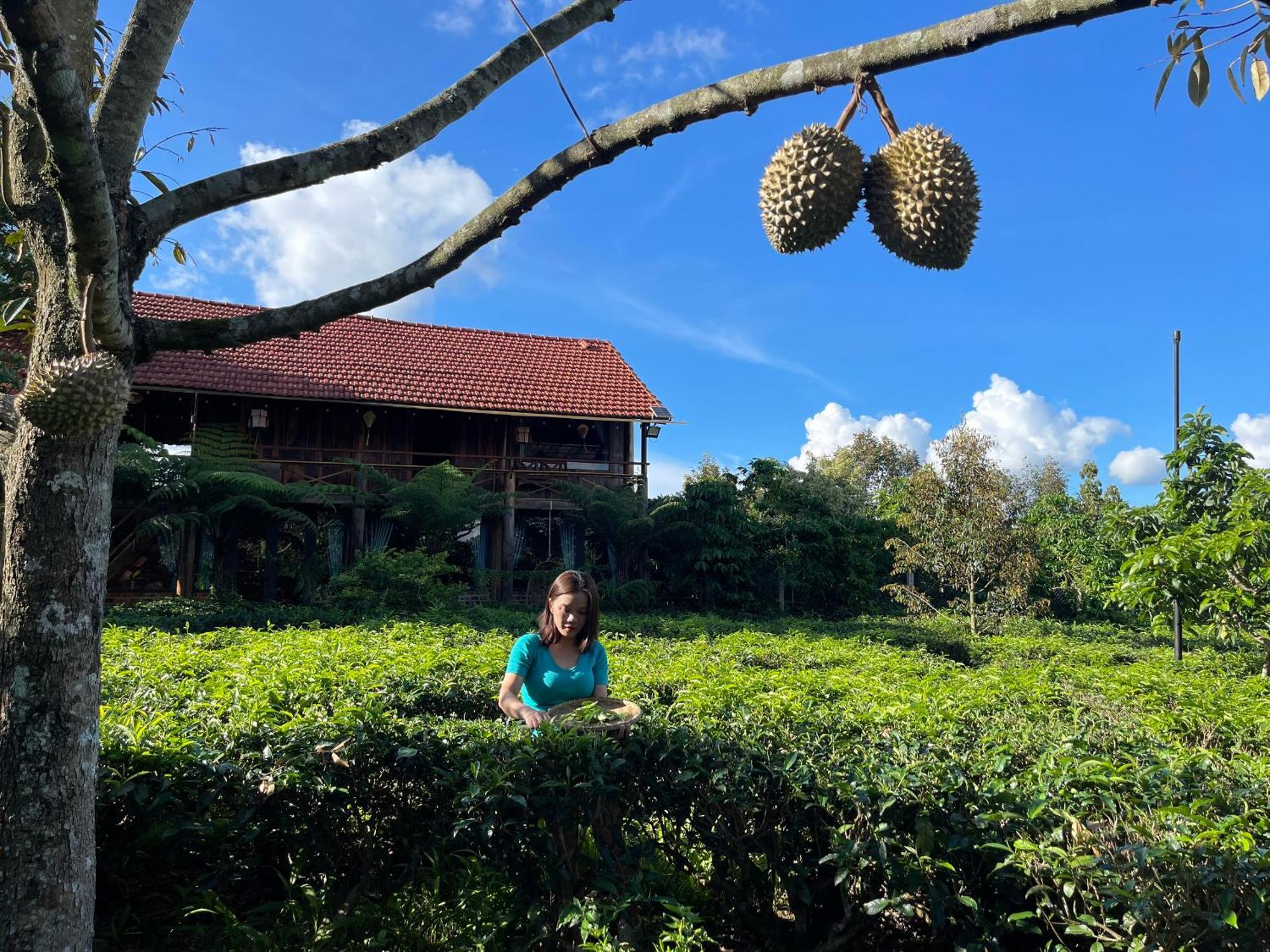保禄Tea Garden House别墅 外观 照片