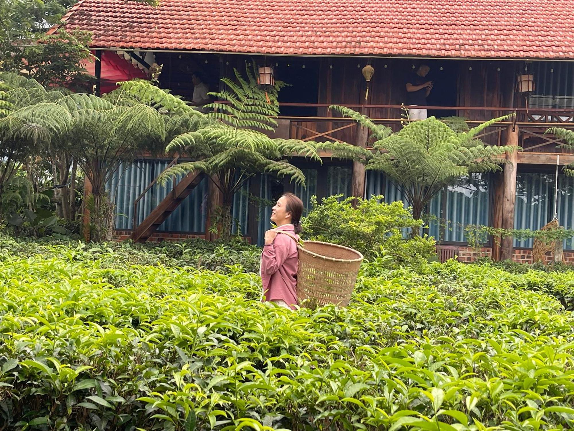 保禄Tea Garden House别墅 外观 照片