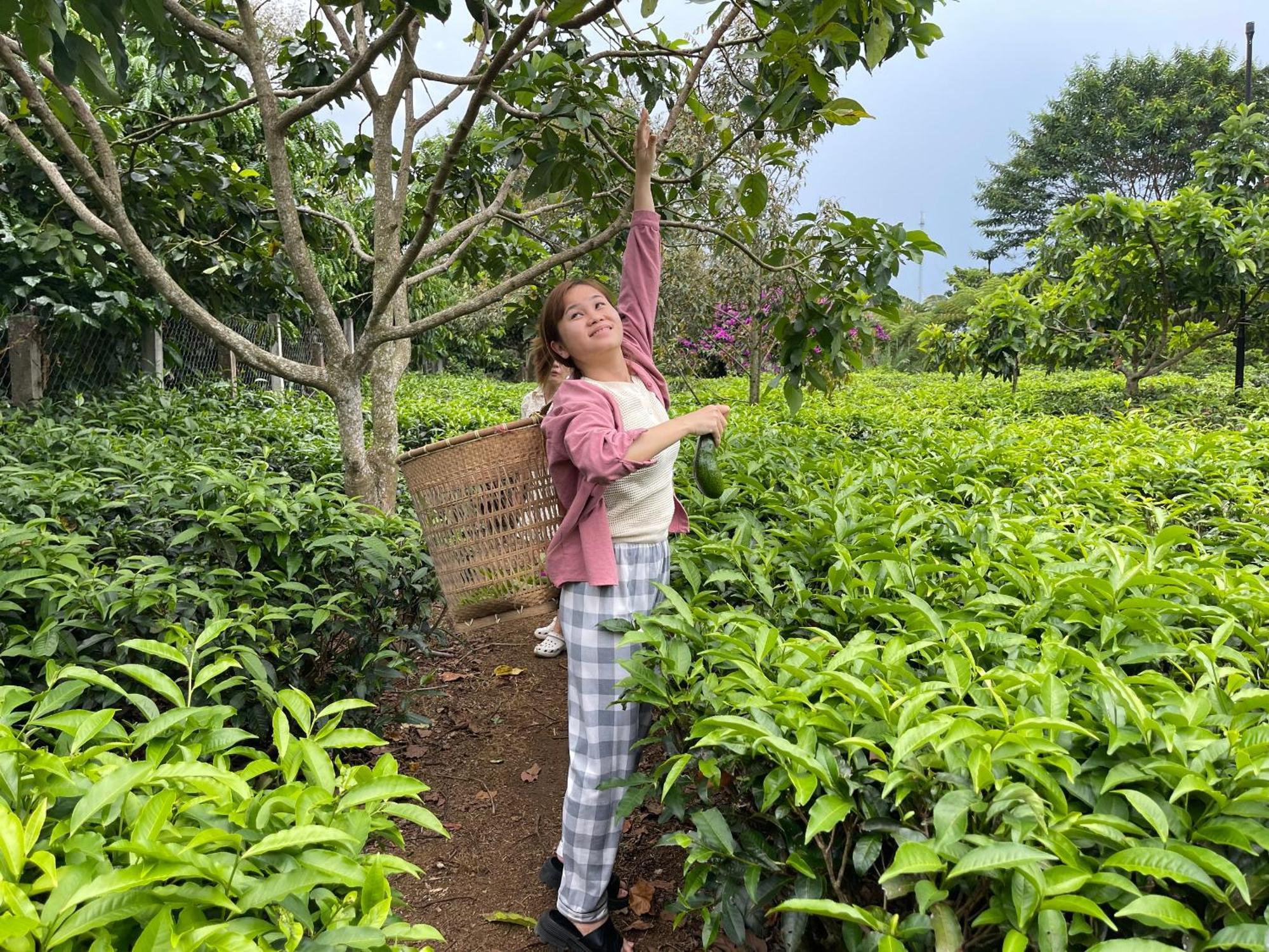 保禄Tea Garden House别墅 外观 照片