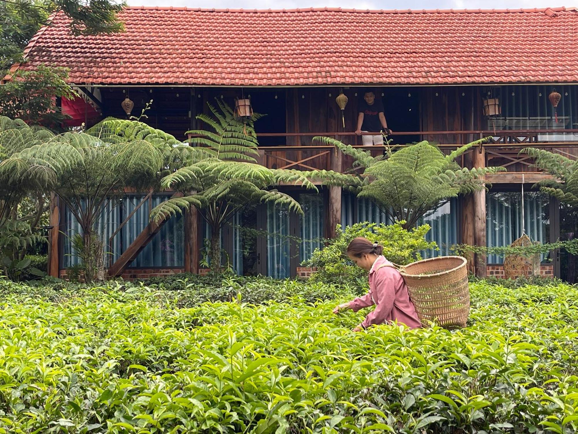保禄Tea Garden House别墅 外观 照片