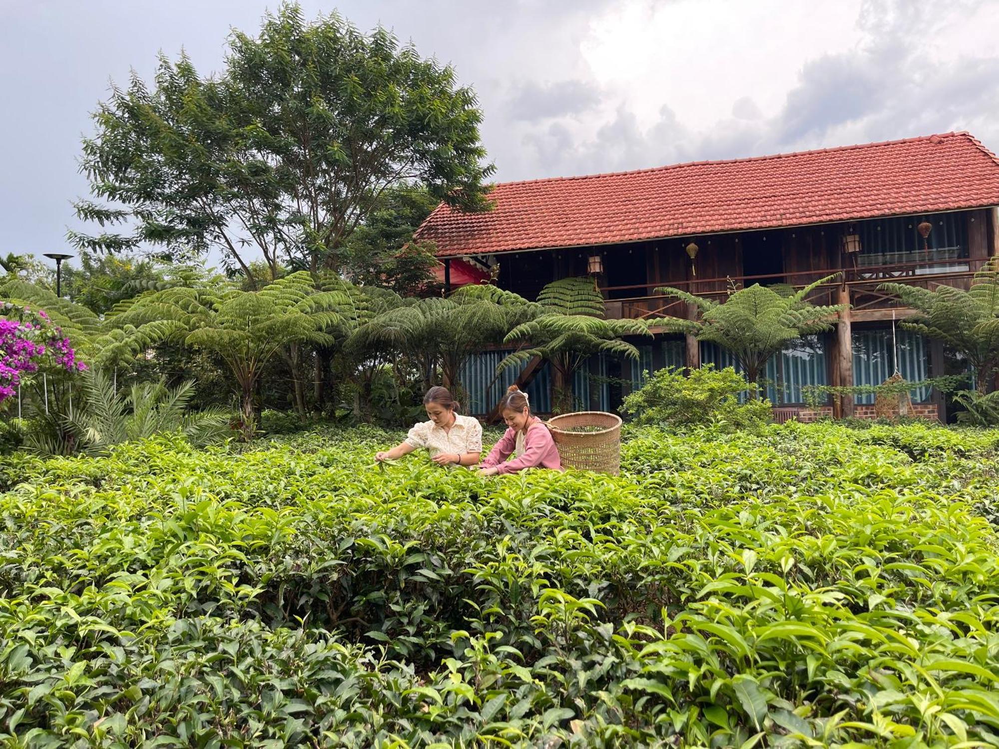 保禄Tea Garden House别墅 外观 照片