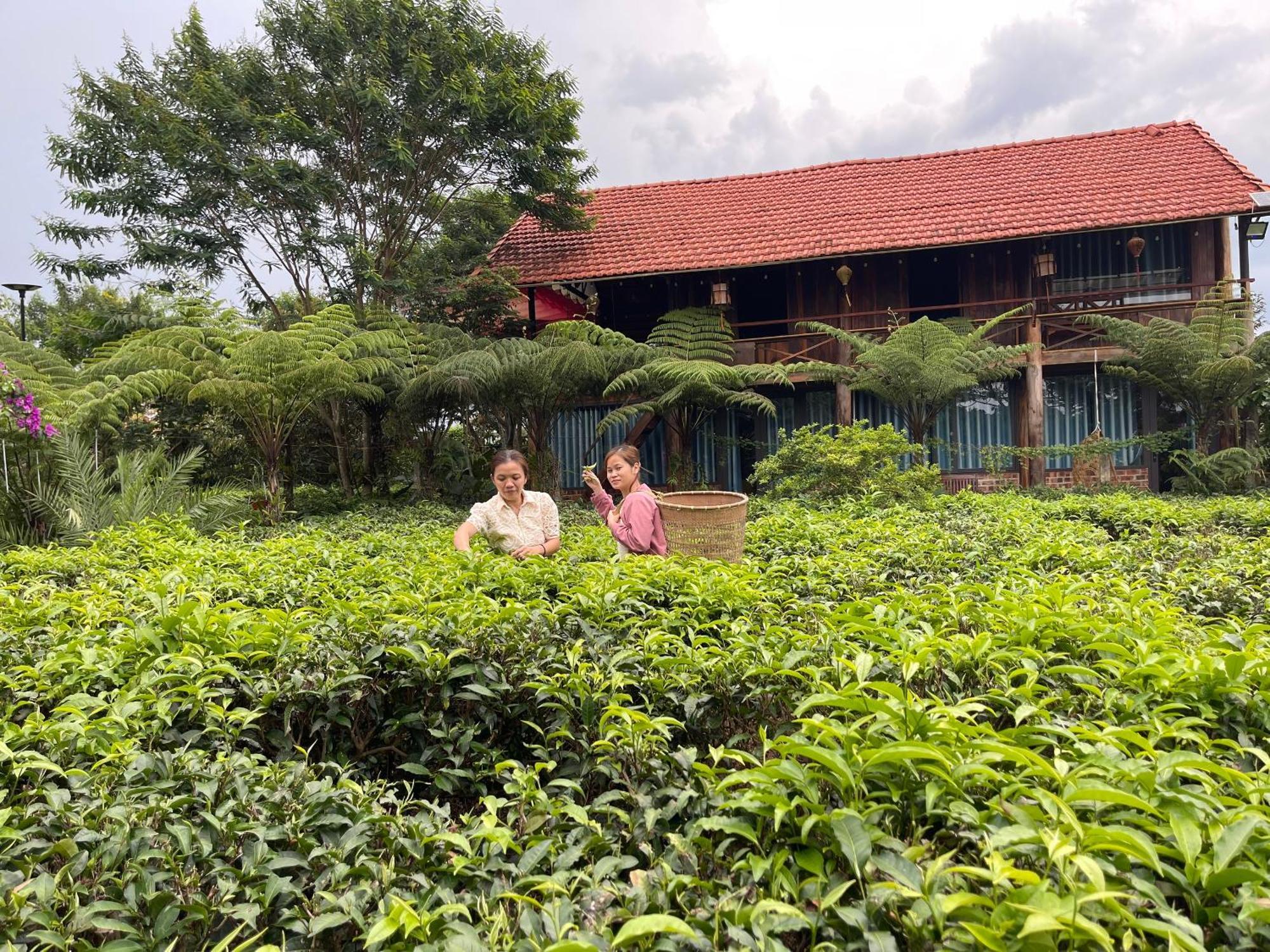 保禄Tea Garden House别墅 外观 照片