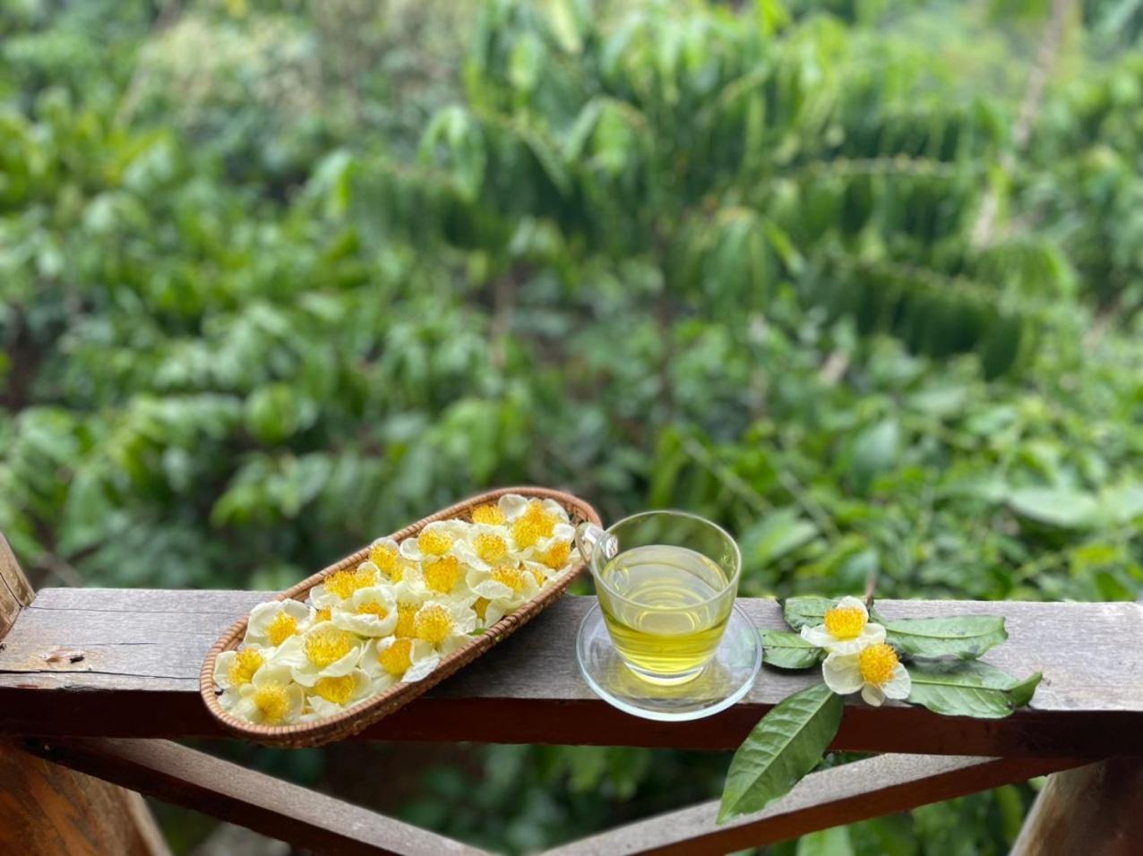 保禄Tea Garden House别墅 外观 照片