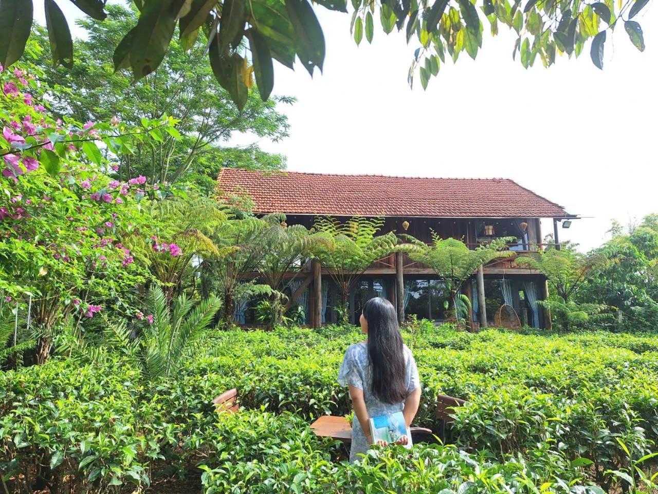 保禄Tea Garden House别墅 外观 照片