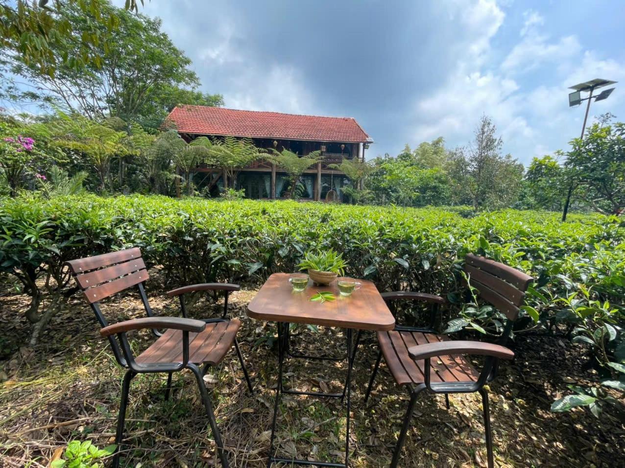 保禄Tea Garden House别墅 外观 照片